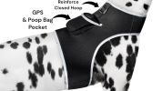 Inexpensive Less Maintenance GPS Tracker Dog Collar Rechargeable Tracking Gadget Size:M