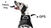 Less Maintenance Collar Pocket Dog Tracking Devices w/ Waterproof Body Size:M
