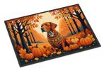 NEW Vizsla Fall Doormat Front Door Mat Indoor Outdoor Rugs for Entryway, Non Slip Washable Low Pile, 18H X 27W