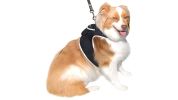 Low Maintenance Mini Dog Tracking GPRS GPS GSM Pet Tracker Waterproof Size:S