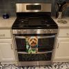 Silky Terrier in Sunflowers Kitchen Towel Dish Cloths Guest Hand Towel Decorative Bathroom Towel for Face,Tea, Dishcloth, Kitchen and Bath