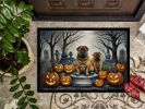 NEW Shar Pei Spooky Halloween Doormat Front Door Mat Indoor Outdoor Rugs for Entryway, Non Slip Washable Low Pile, 18H X 27W