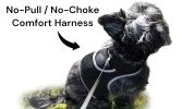 Less Maintenance Collar Pocket Dog Tracking Devices w/ Waterproof Body Size:S