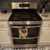 Brussels Griffon in Sunflowers Kitchen Towel Dish Cloths Guest Hand Towel Decorative Bathroom Towel for Face,Tea, Dishcloth, Kitchen and Bath
