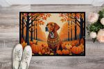 NEW Vizsla Fall Doormat Front Door Mat Indoor Outdoor Rugs for Entryway, Non Slip Washable Low Pile, 18H X 27W