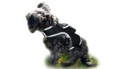No Maintenance Portable Realtime GSM Dog Tracking GPS Finder/Tracker Size:S