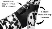 Less Maintenance Collar Pocket Dog Tracking Devices w/ Waterproof Body Size:S